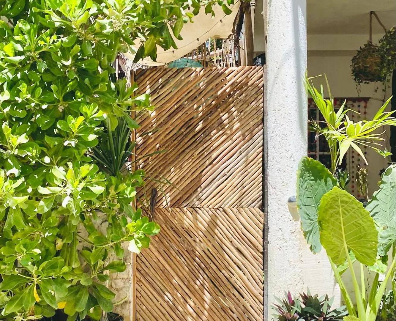 Ferienwohnung Casa Semilla Isla Holbox