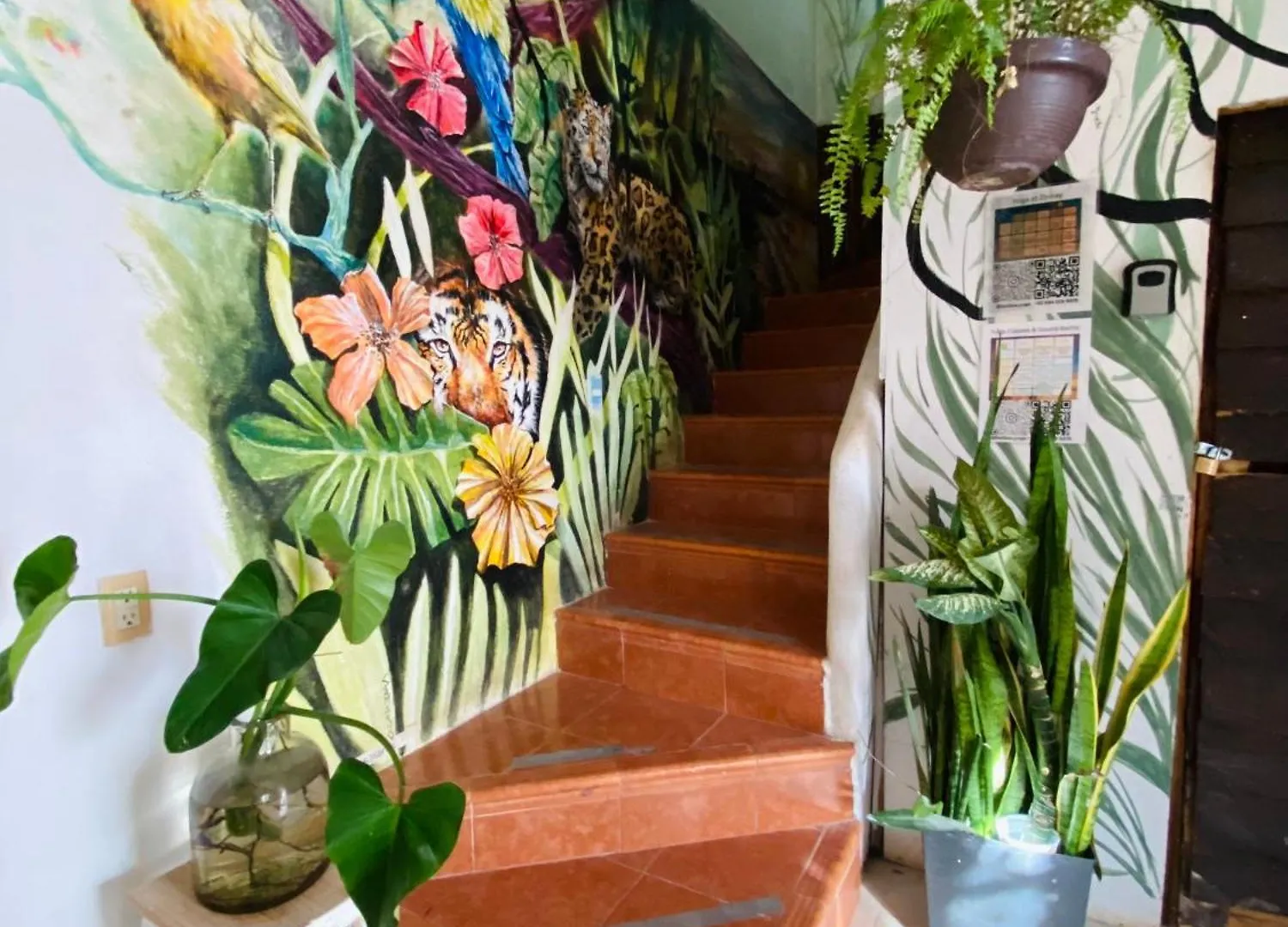 Casa Semilla Apartment Isla Holbox Mexico