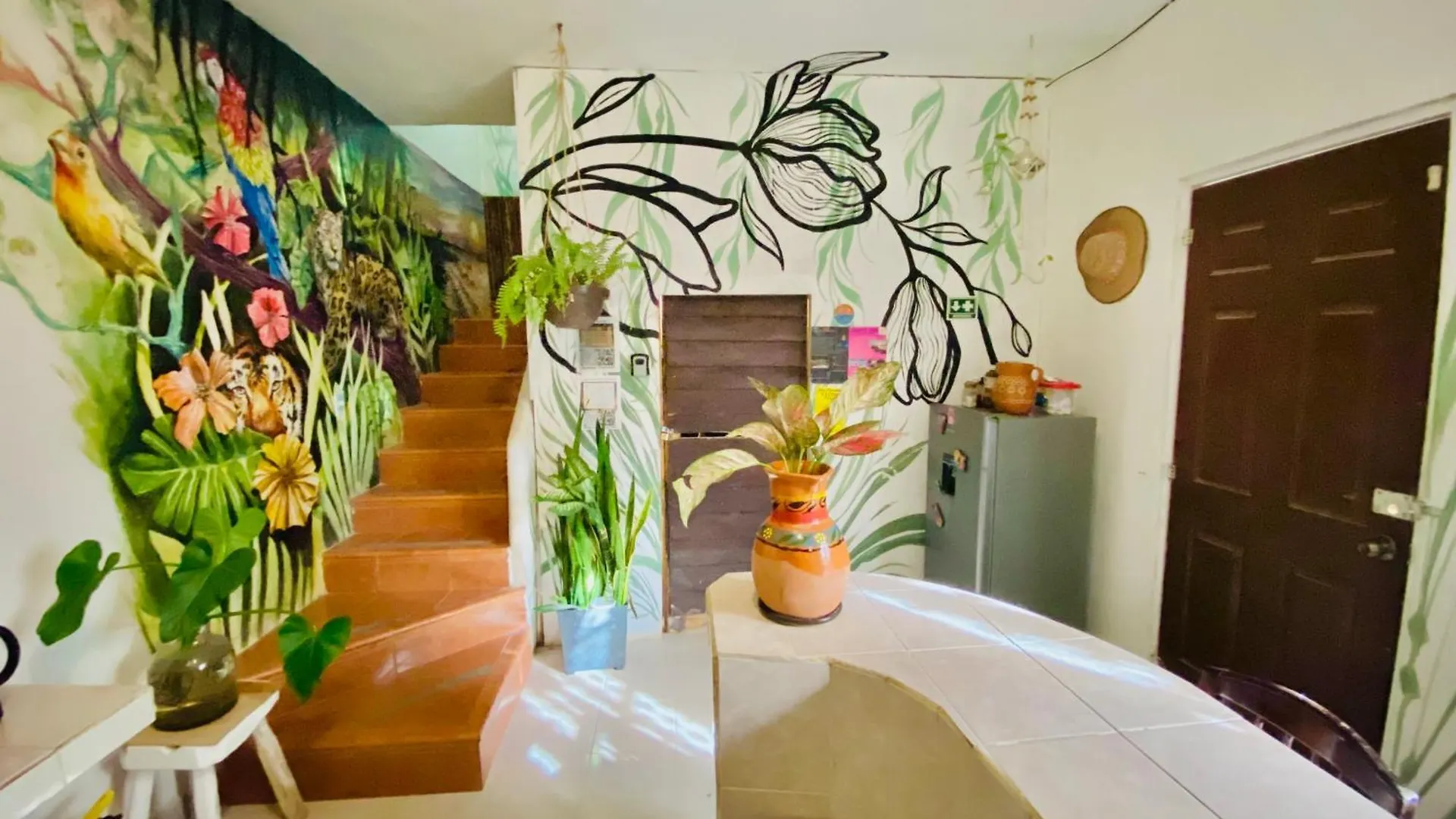 Homestay Casa Semilla Apartment Isla Holbox Mexico
